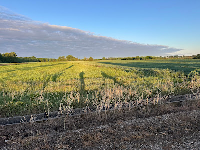 Day 17: Mansilla de las Mulas to León IMG 4359 2