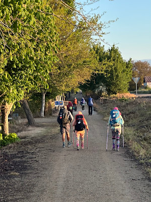 Day 17: Mansilla de las Mulas to León IMG 4360 2