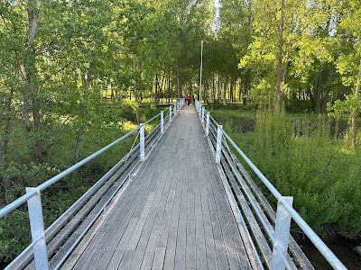 Day 17: Mansilla de las Mulas to León IMG 4362 2