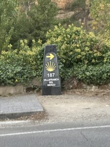 Day 6(23): Villafranca del Bierzo to Laguna de Castilla Img 5814 225x300