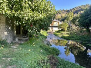 Day 6(23): Villafranca del Bierzo to Laguna de Castilla Img 5834 300x225
