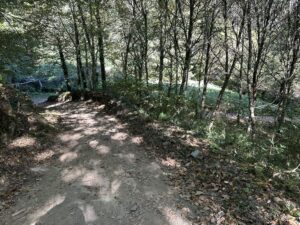 Day 6(23): Villafranca del Bierzo to Laguna de Castilla Img 5860 300x225