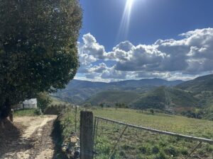 Day 6(23): Villafranca del Bierzo to Laguna de Castilla Img 5866 300x225