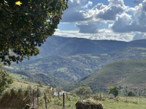 Day 6(23): Villafranca del Bierzo to Laguna de Castilla Img 5867 300x225