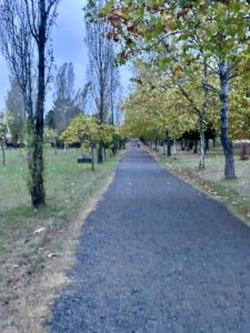 Day 11(28): Palas de Rei to Arzúa Img 6087 225x300