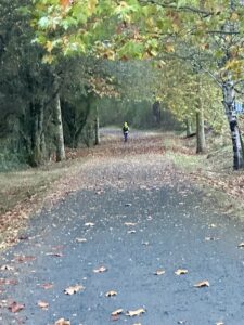 Day 11(28): Palas de Rei to Arzúa Img 6088 225x300