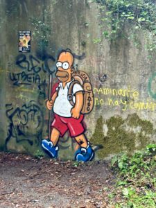 Day 11(28): Palas de Rei to Arzúa Img 6095 225x300