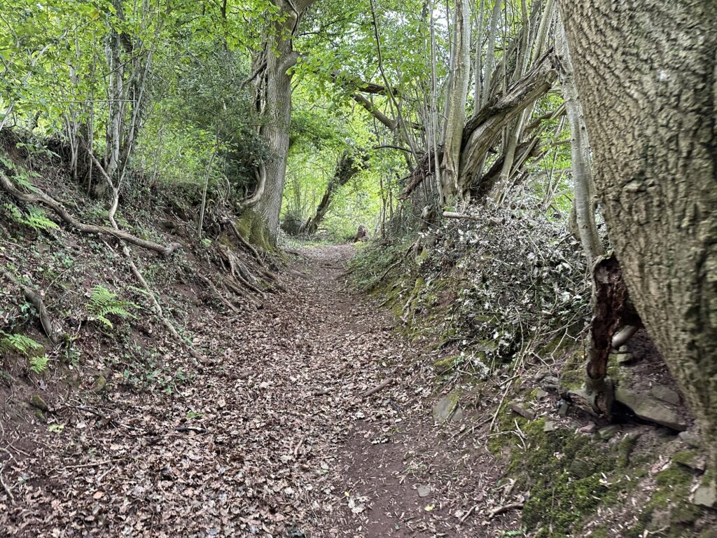 Day 1: Pandy to Hay-on-Wye: 15th May 2026 Img 7538 1024x768