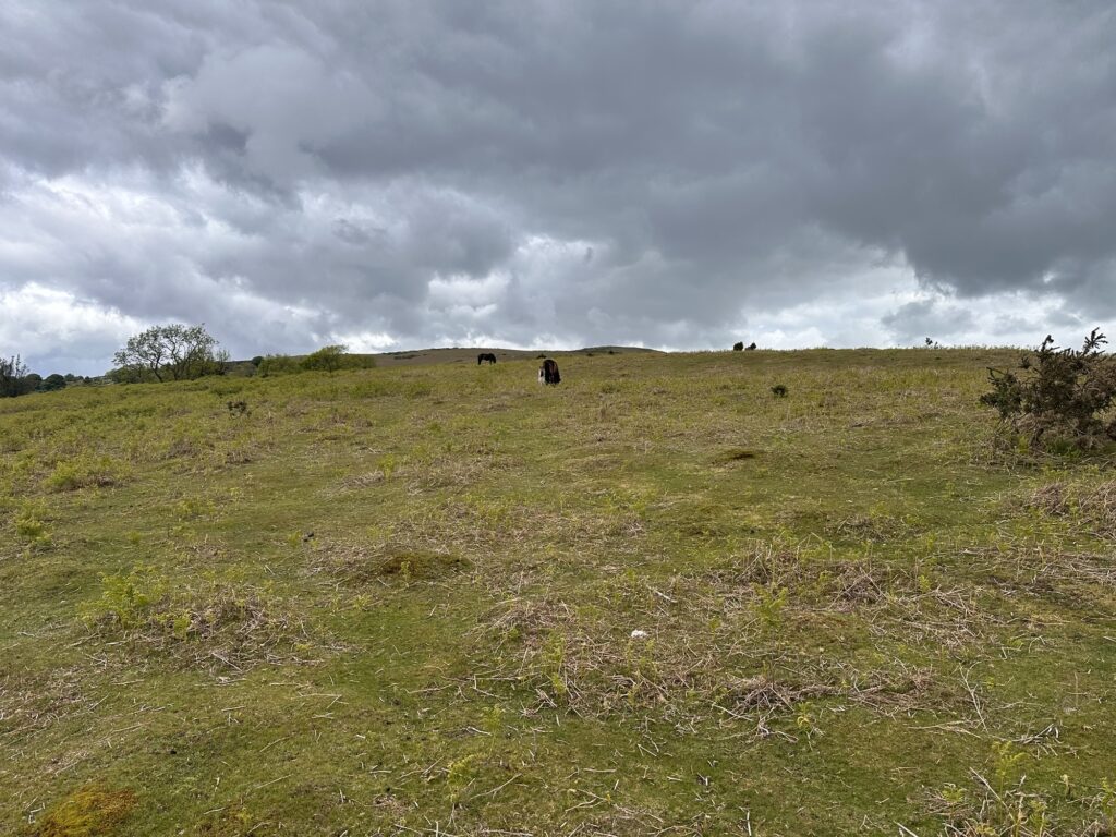 Day 1: Pandy to Hay-on-Wye: 15th May 2026 Img 7541 1024x768