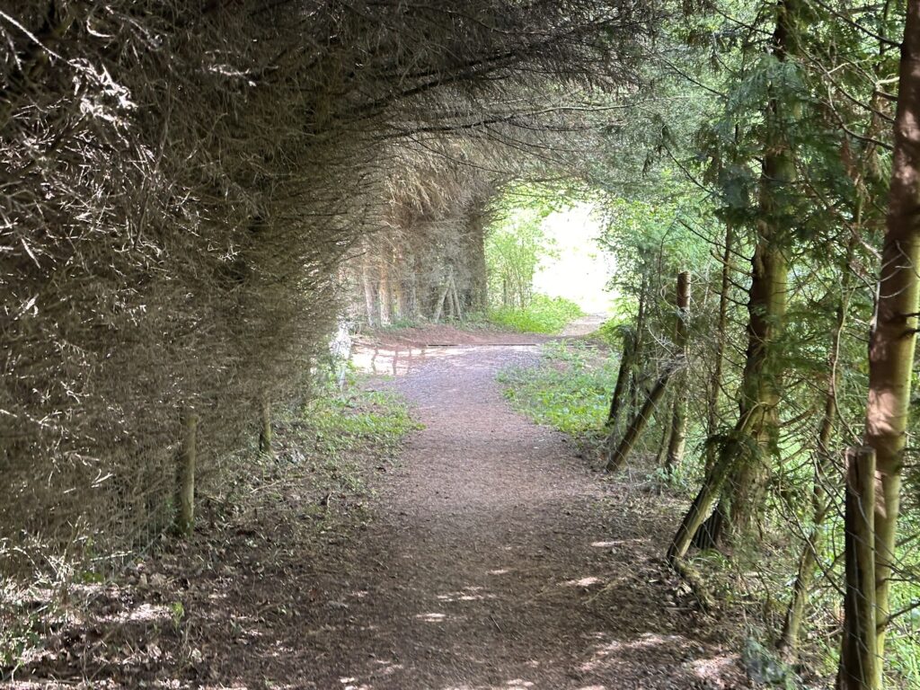 Day 1: Pandy to Hay-on-Wye: 15th May 2026 Img 7563 1024x768