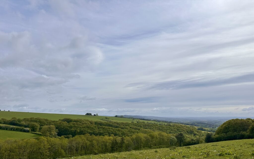 Img 7617 1024x642