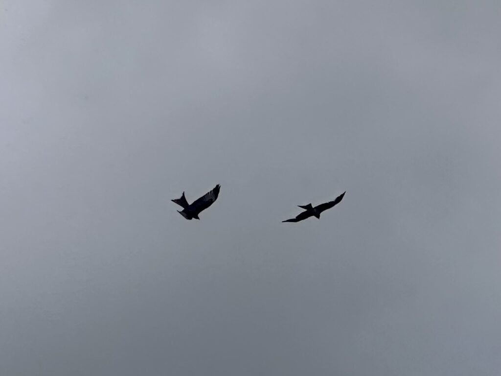 Img 7742 1024x768